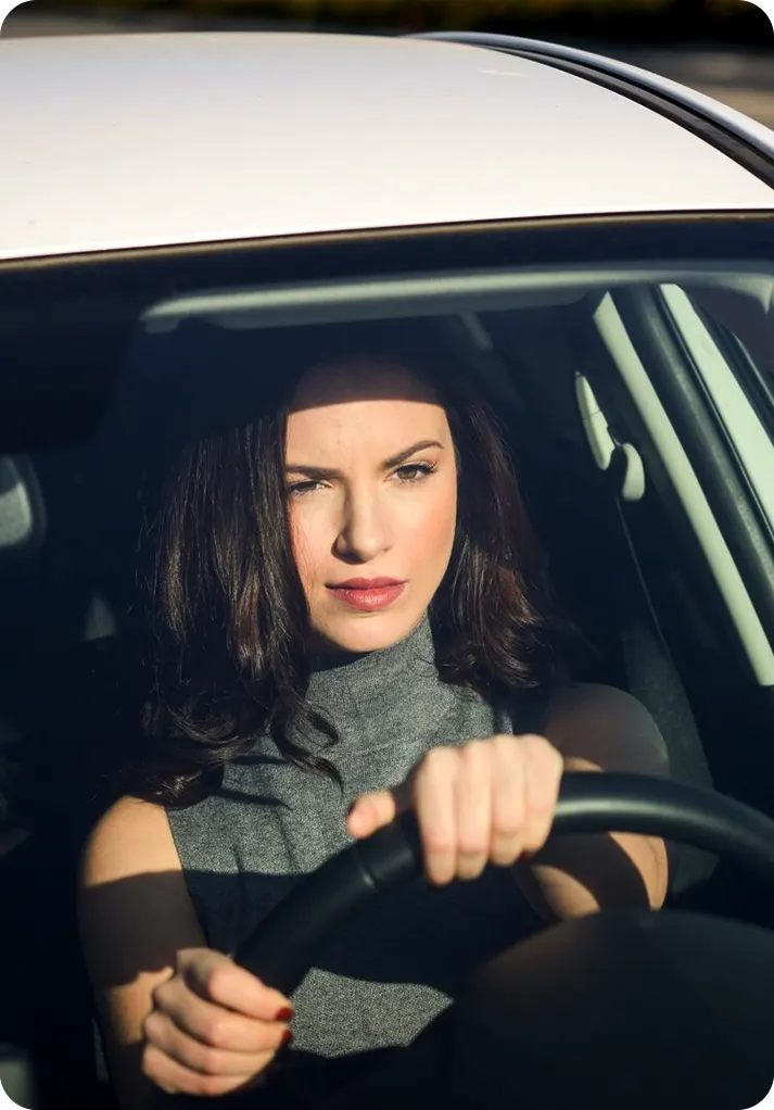 SelfDrive EV hero image