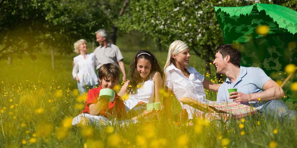 A family enjoys a picnic in a sunny meadow, surrounded by yellow flowers and greenery. Two adults and two children sit together, smiling and relaxed, with an umbrella providing shade. Two older people walk in the background, adding to the joyful, serene atmosphere.