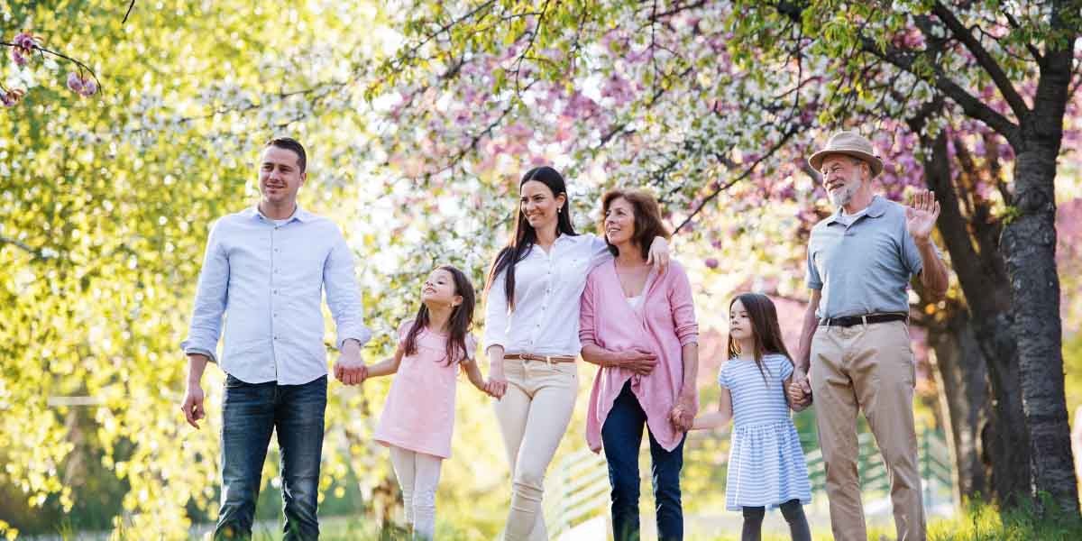 A family of six, spanning three generations, walks hand in hand in a sunlit park. They smile warmly, with blossoming trees around, conveying joy and togetherness.